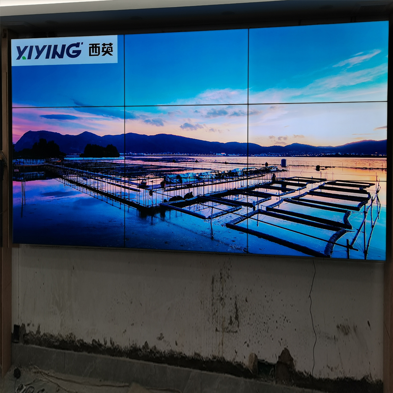 5ff28f3bb6cb0.jpg 3.jpg