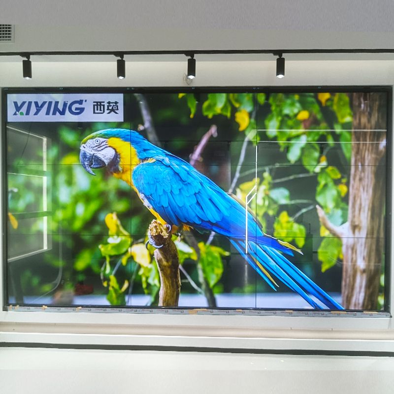 636c6067772ac.jpg 3.jpg