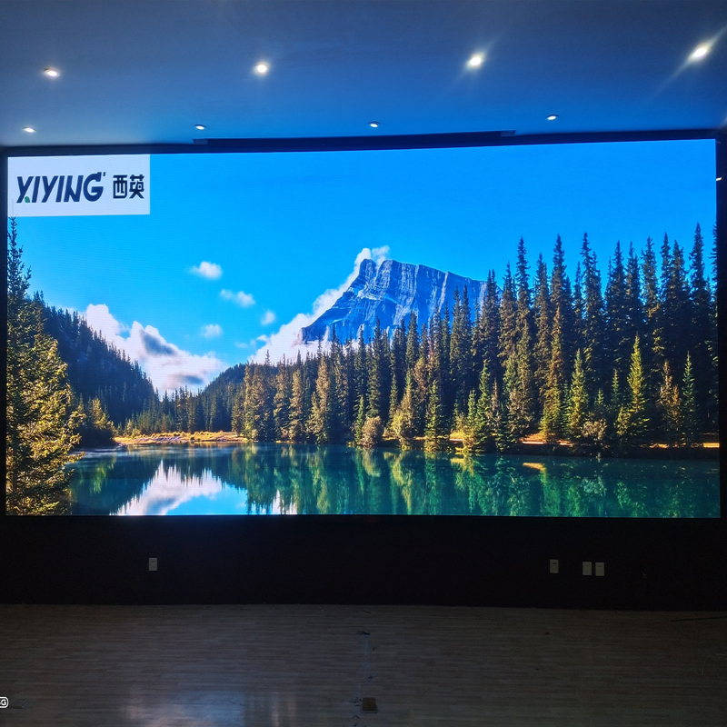 63db81261ed2a.jpg 4.jpg