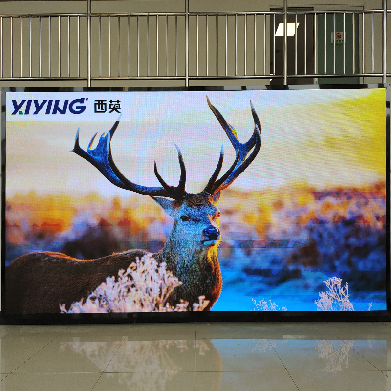 6439213184ec0.jpg 3.jpg