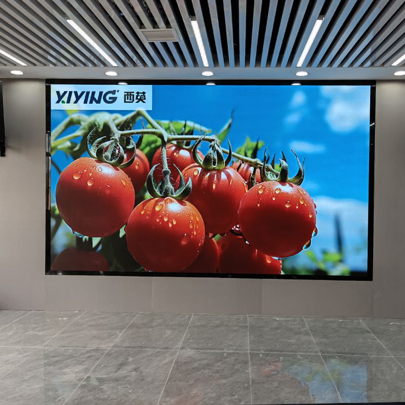 西英助力湖南長沙某展廳P2全彩LED項目