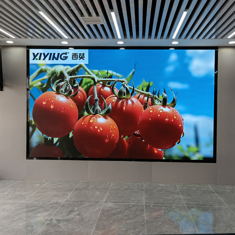 652e32c18d6dc.jpg 3.jpg